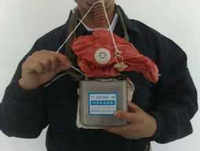 bevictorΰ��(�й�)-�ٷ���վ�Ծ���